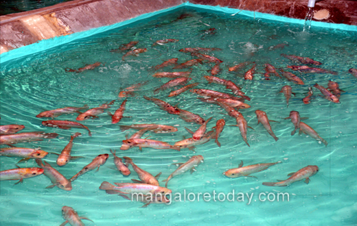 Aqua Aquaria India 2017 expo